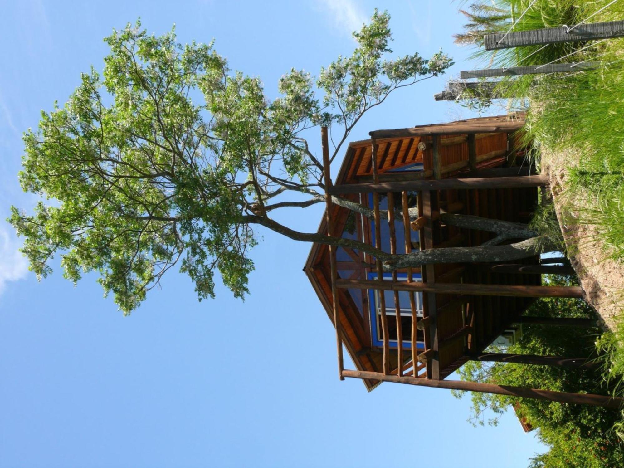Cabanas De La Ribera San Pedro (Buenos Aires) Exterior foto